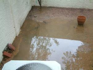 backyard-rain-0005.jpg