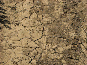 expansive-soil-3.jpg