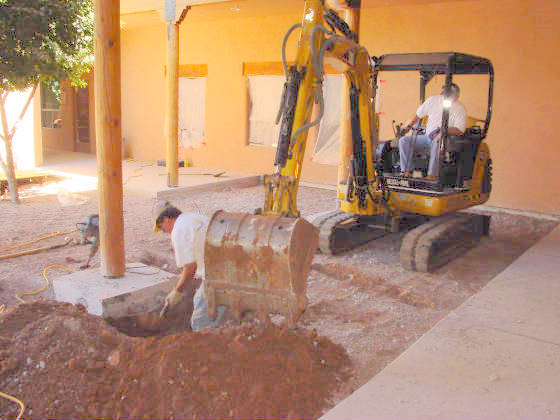 Diggingforhelicalpiera.jpg
